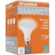 Blogpost image for Smart+ LED BR30 LED Smart Bulb 700 lumens