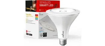 Product image for Motion Sensor PAR38 Bulb