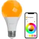 Blogpost image for A60 Bulb