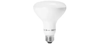 Product image for BR30 Smart Light Bulb